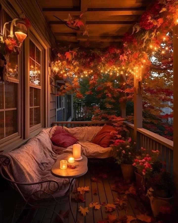 CUDDLE SEASON