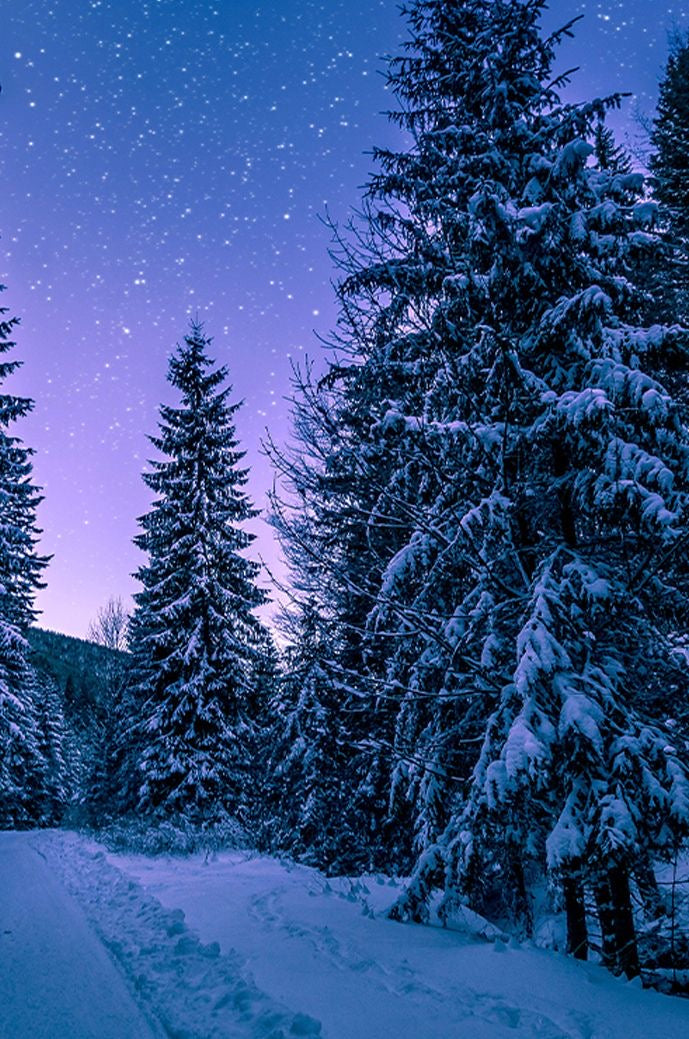 WINTER SOLSTICE
