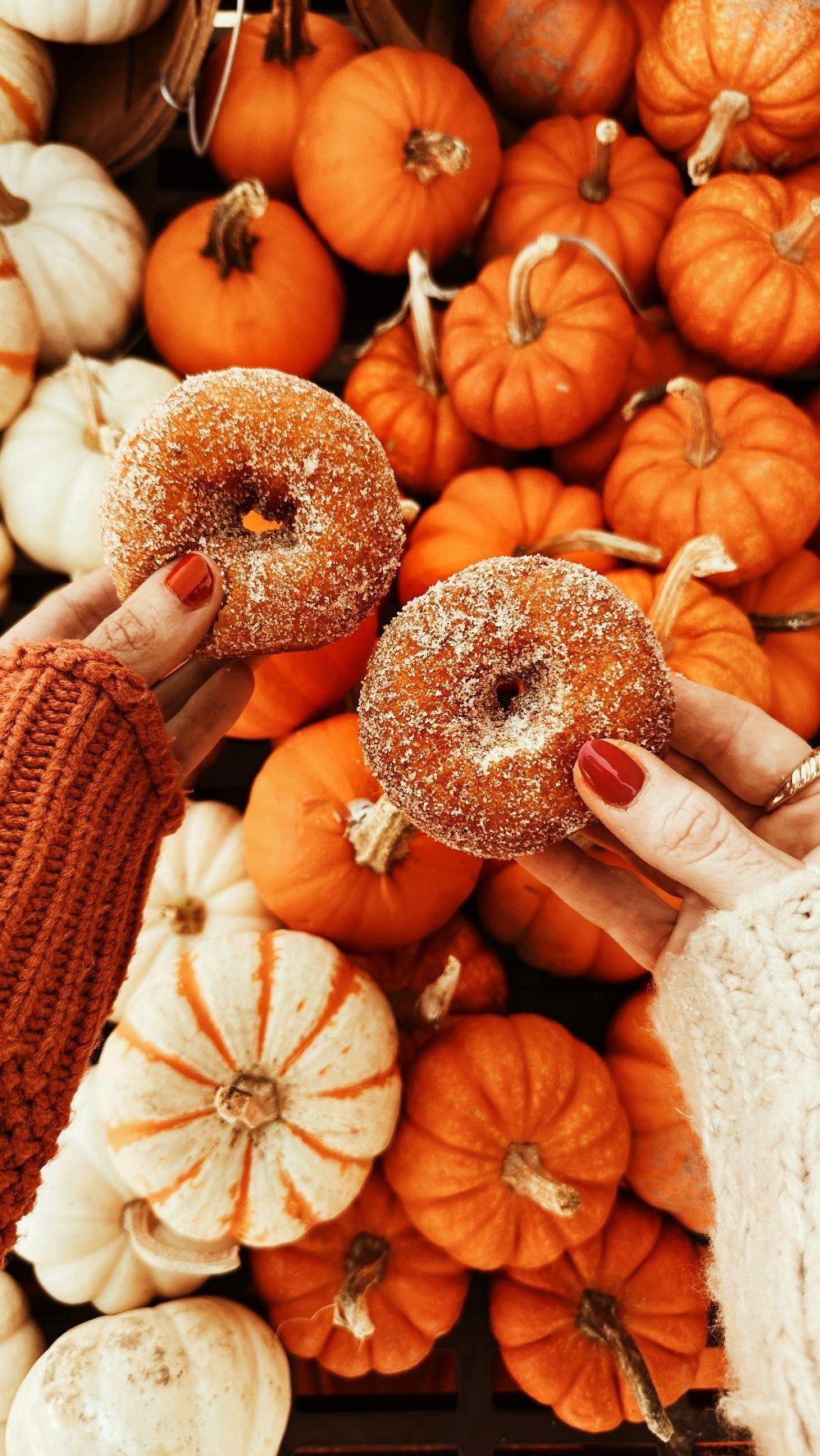 PUMPKIN DONUT SHOP