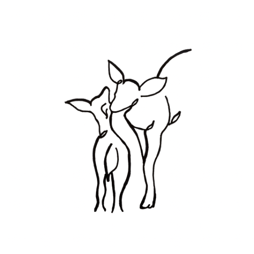 Doe & Fawn Candles and Co. LLC logo