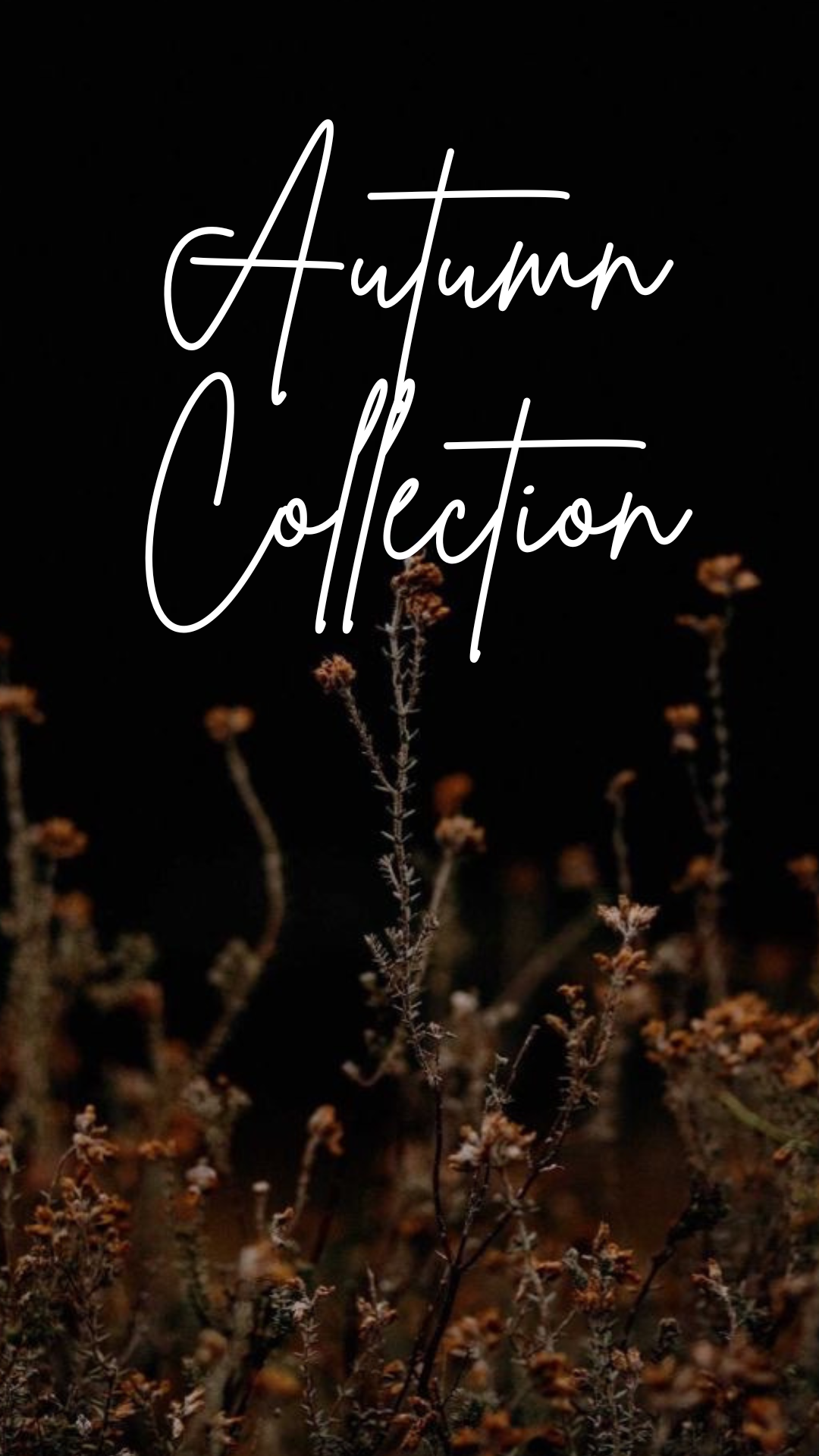 Autumn Collection