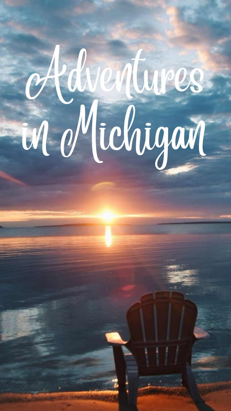 Adventures of Michigan