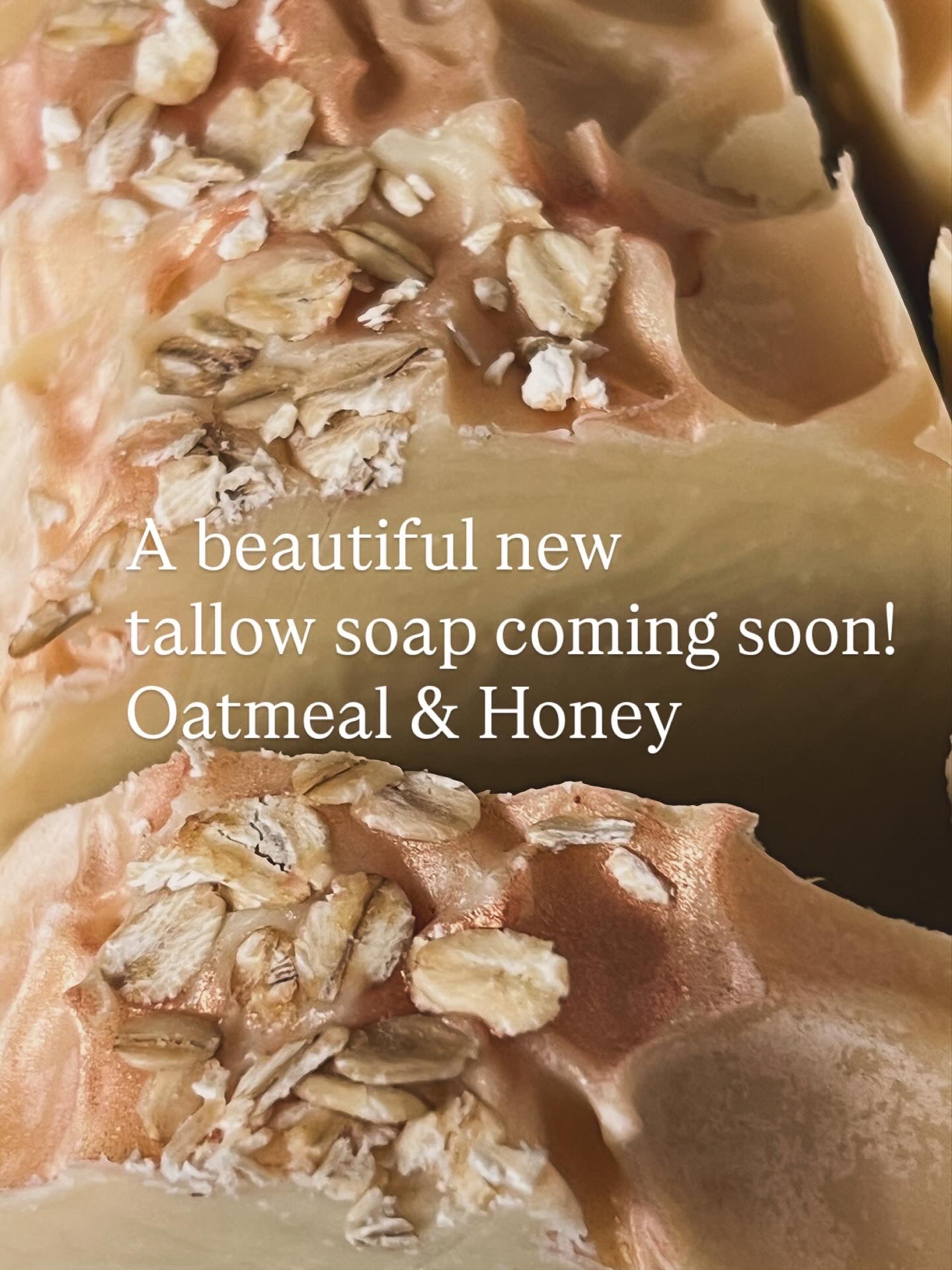 Oatmeal & Honey Tallow Soap - Pre Order only (shipping week of December 8th)